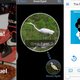 Illustration for article titled Our Favorite iOS, Android, and Windows Phone Apps of the Week